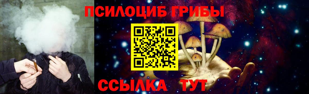 Псилоцибиновые грибы Psilocybe Протвино