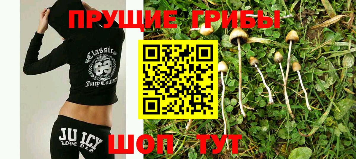 Протвино  Псилоцибиновые грибы мицелий  Вход с VPN 